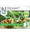 Micro leaf - Ärta